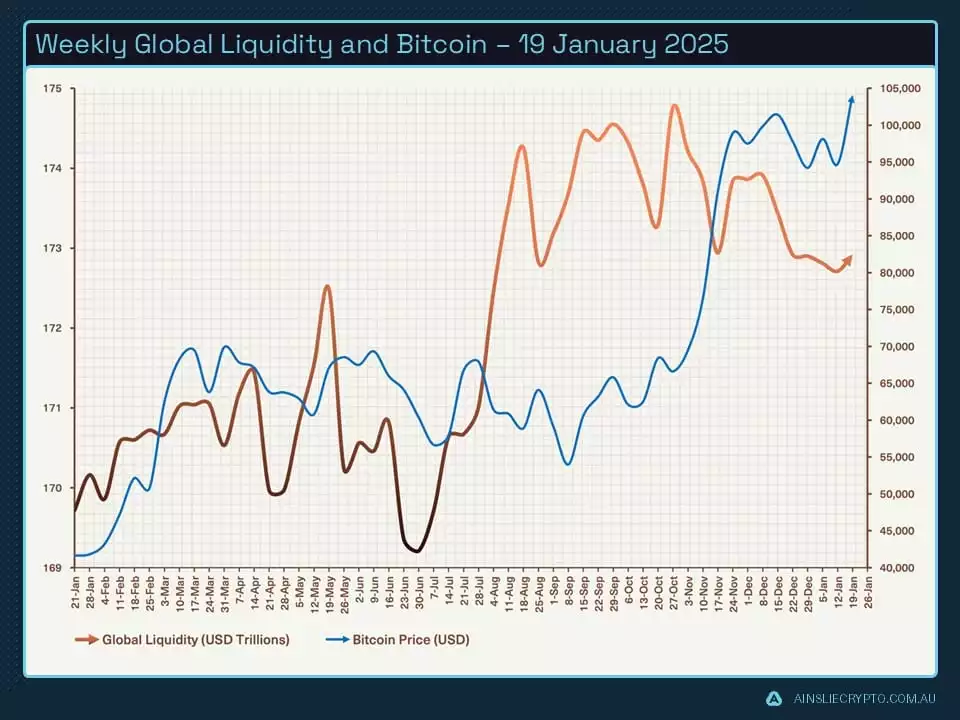 Weekly Global Liquidity and Bitcoin  19 January 2025